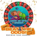 Beat the odds, maximise your chances on our competitions